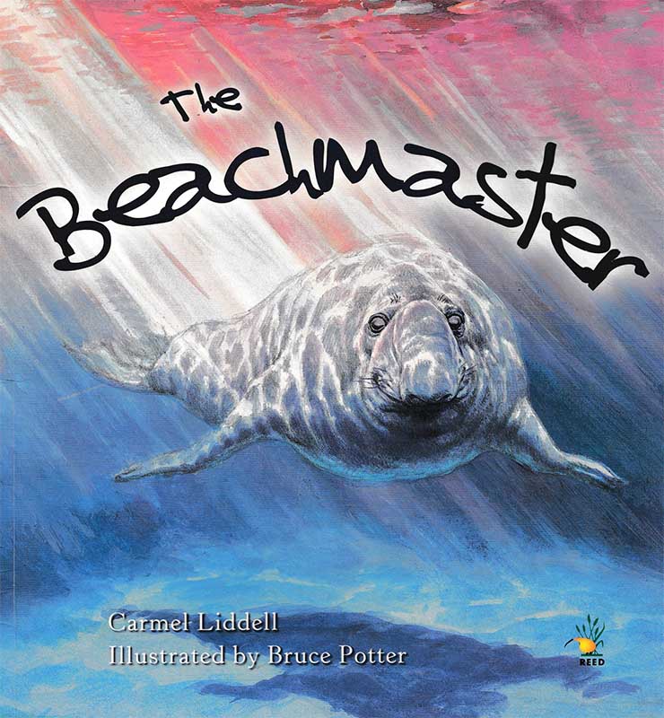 Beachmaster