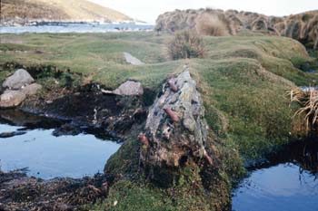 Wreckage-Monument-Harbour