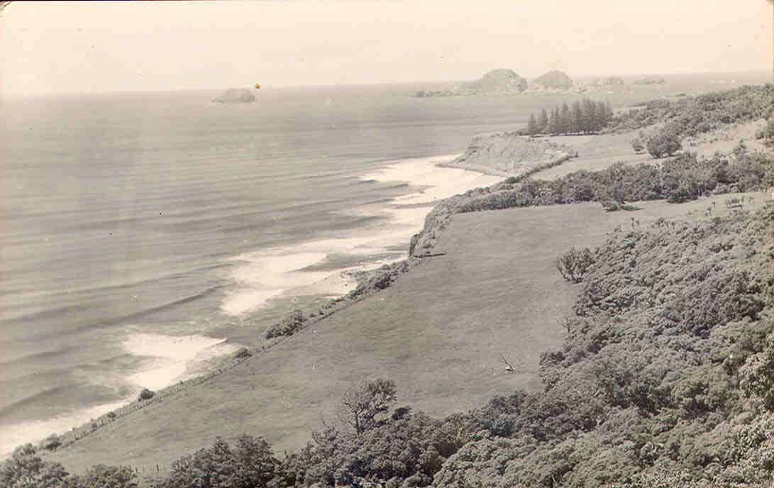 Raoul Island Farm 1953 Raoul Island Farm 1953