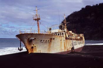 Kine Maru 10