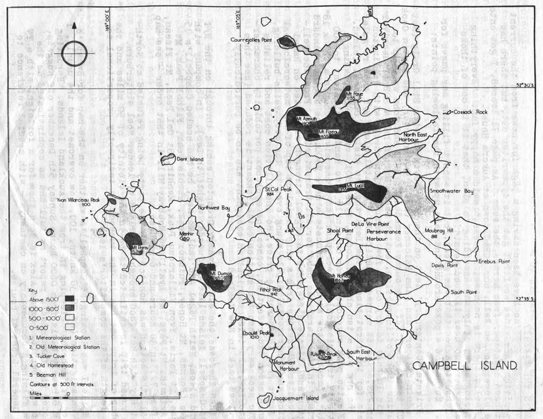 Campbell Island Map