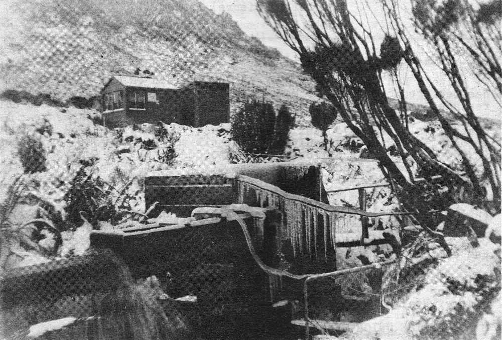 Beeman Hydro 1947