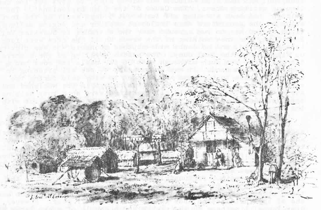 Raoul Island Watercolour 1854 Raoul Island Watercolour 1854